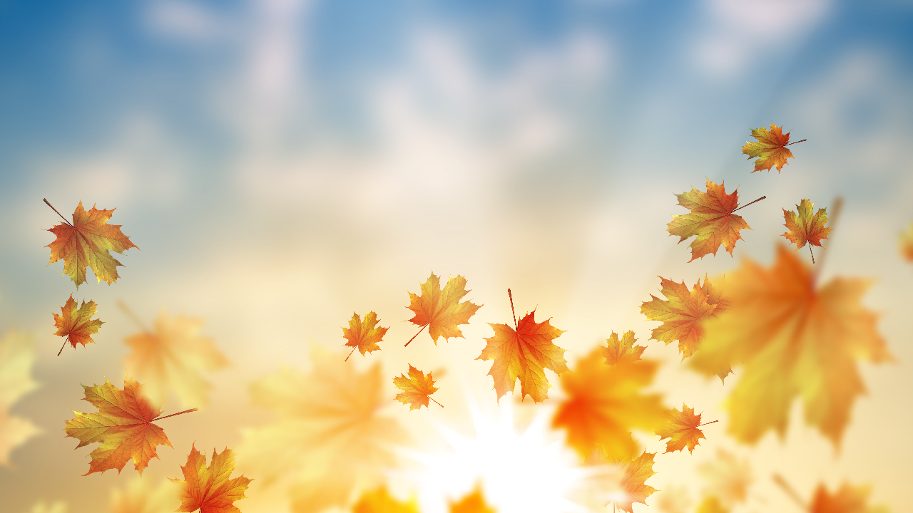 Traitement pour les cheveux qui chutent